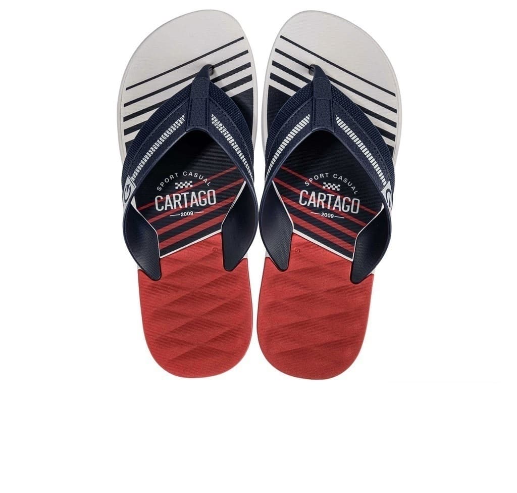 Cinza/Azul/Vermelho