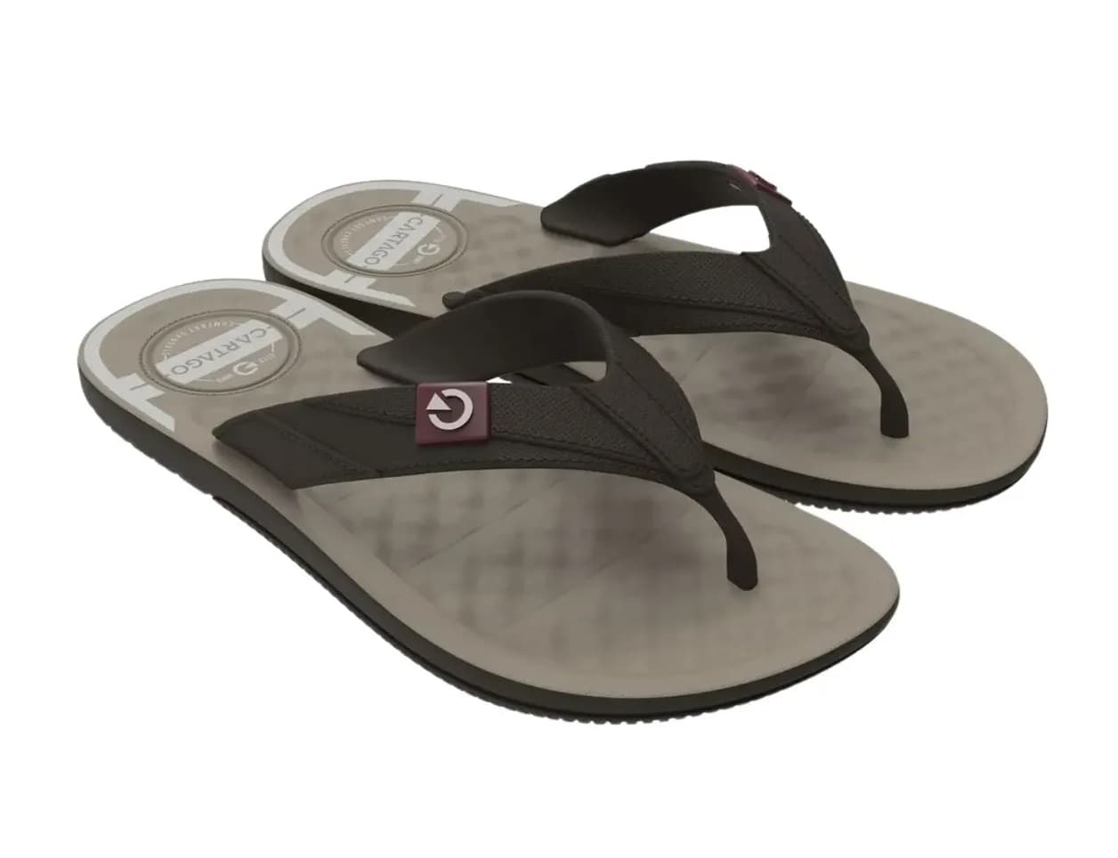 Chinelo Masculino Cartago Arizona - 12212