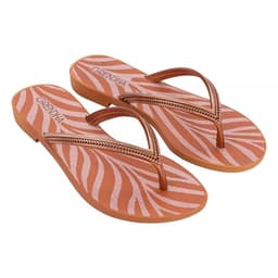 Rasteirinha Grendha Mais Acai Energia - 18060 - Ocre Metalizado Zebra